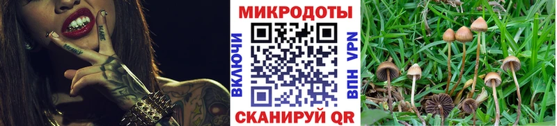 купить наркоту  Кочубеевское  ссылка на мегу онион  Галлюциногенные грибы прущие грибы 